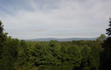 Additional View
