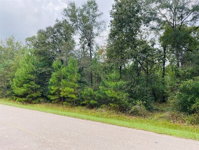 11817 White Oak Pass, Conroe, TX 77385 - photo 3