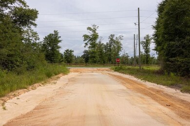 0 Pike Pond Rd unit 25388252, Alford, FL 32420 - photo 2