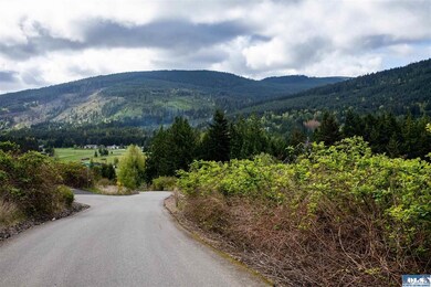 9999 Hillside Dr, Sequim, WA 98382 - photo 2