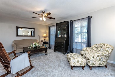 6 Michael Ct, Bethalto, IL 62010 - photo 7