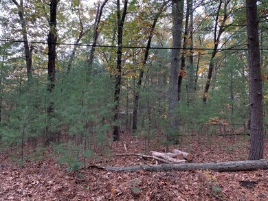 5B Seymour St, Concord, MA 01742 - photo 3