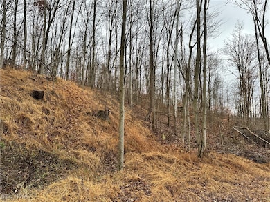 2305 Ohio 145, Lower Salem, OH 45745 - photo 7