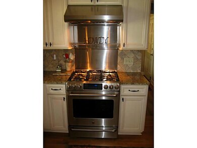 Gourmet cook's gas stove