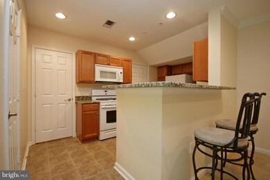 4522 Superior Square unit 4522, Fairfax, VA 22033 - photo 6