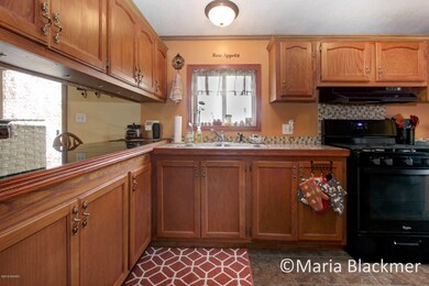 7028 O Brien Rd, Hubbardston, MI 48845 - photo 3