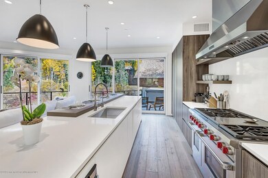 1098 E Waters Ave, Aspen, CO 81611 - photo 7