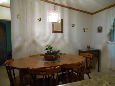 31038 Ivanhoe Ave, Camp Douglas, WI 54618 - photo 6