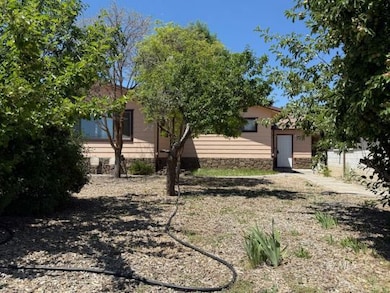 Front Yard- Fruit Trees-Plum & Apple