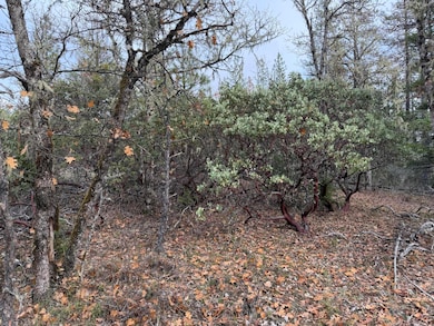 0 E Evans Creek Rd unit 10149531, White City, OR 97503 - photo 6