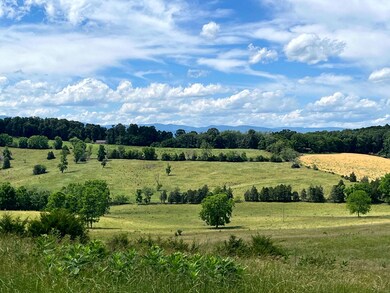 TBD Curry Rd, Mount Solon, VA 22843 - photo 4