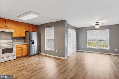 17609 Potter Bell Way, Hagerstown, MD 21740 - photo 5