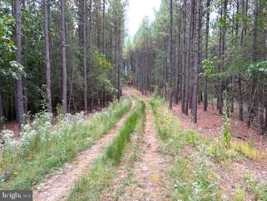 26.89 AC N Texas Rd, Delray, WV 26714 - photo 2