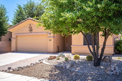 Calle De La Semilla-3