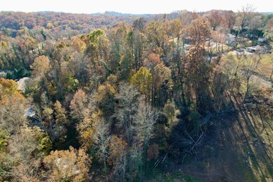 59-60 Lakeview Cir, Dayton, TN 37321 - photo 3