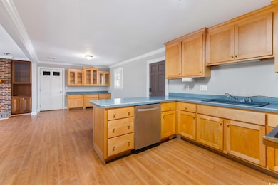 Kitchen featuring sink, dishwasher, ornamental mol