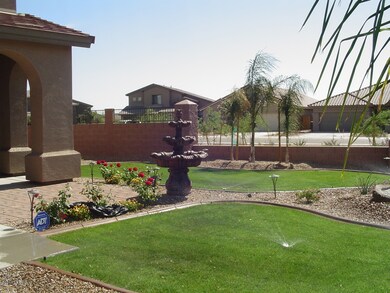 Front Yard