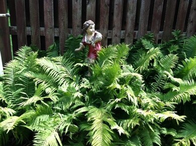 52 N Westgate Ave, Columbus, OH 43204 - photo 6