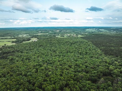 DJI_20240507164146_0205_D