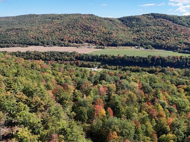 1118 Ryegate Rd, Wells River, VT 05081 - photo 7