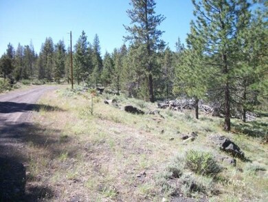 property looking south