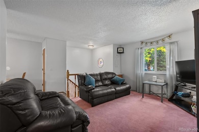 Living room area! Newer windows throughout home!