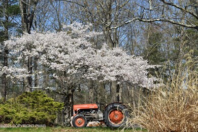 113 Jackson Rd, Shavertown, PA 18708 - photo 4