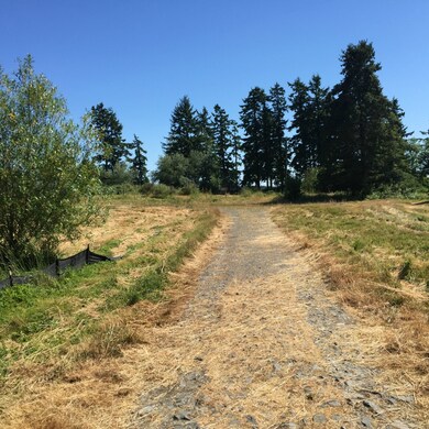 0 Dodd St, Blaine, WA 98230 - photo 5