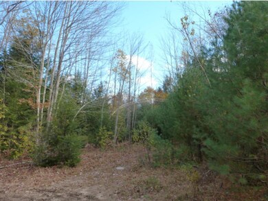 30 Mount Shaw Rd, Ossipee, NH 03864 - photo 4