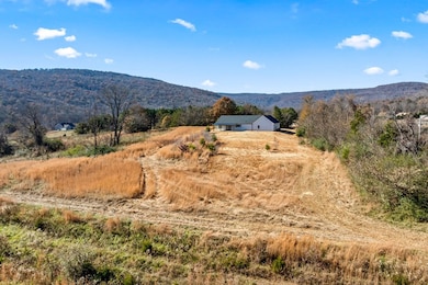 815 Safley Hollow Rd, McMinnville, TN 37110 - photo 5