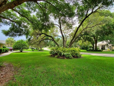 VIEW FROM THE EAST SIDE FRONT YARD