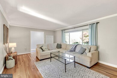 2111 Wilkinson Place, Alexandria, VA 22306 - photo 3