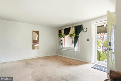 639 Lucia Ave, Baltimore, MD 21229 - photo 2