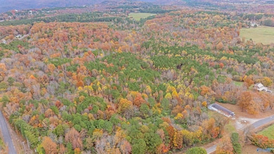 18 acres County Road 359, Pisgah, AL 35765 - photo 4