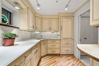 17 Healey St unit 103, Cambridge, MA 02138 - photo 6