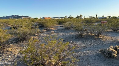IMG_1358