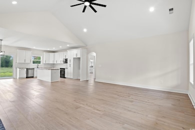 Unfurnished living room with ceiling fan, light wo