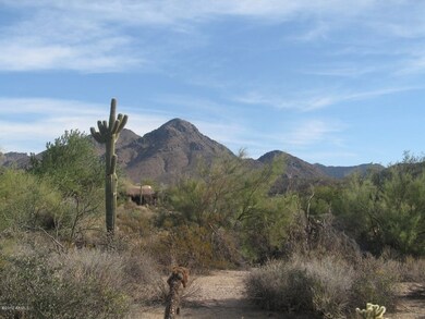 McDowell View 2