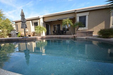 Back Yard 1