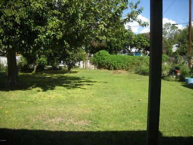 Beautiful back yard