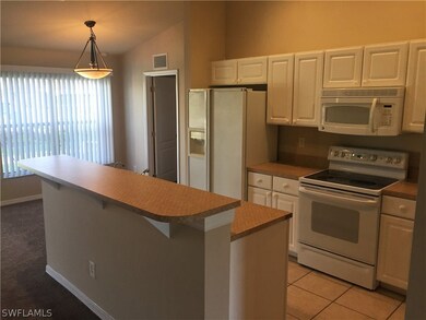 3218 65th St W, Lehigh Acres, FL 33971 - photo 2