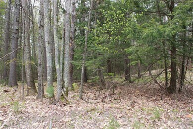 27 Osborne Rd, Gorham, ME 04038 - photo 3