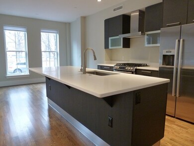 10 Saint George St unit 103, Boston, MA 02118 - photo 5