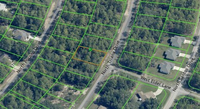 8100 N Triana Dr, Citrus Springs, FL 34434 - photo 4