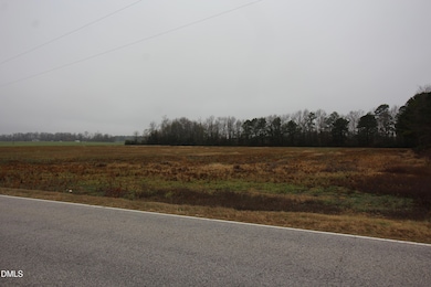 000 Green Path Rd, Dunn, NC 28334 - photo 4