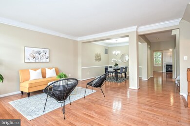 42906 Overly Square, Chantilly, VA 20152 - photo 4