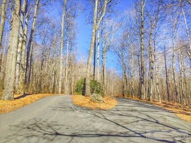 Entrance to Big Tree