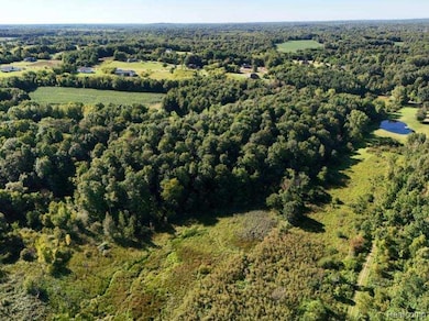 Parcel 4 Sycamore St, Dryden Township, MI 48428 - photo 5