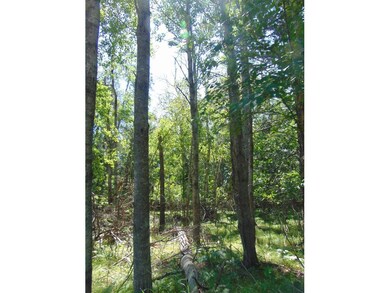 304 Birch Briar Ln, Park Rapids, MN 56470 - photo 2