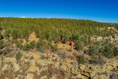 14440 County Rd 28 8 unit 10, Weston, CO 81091 - photo 3